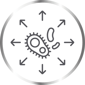 Spreading yeast cells icon