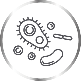 Canesten yeast cells under microscope icon